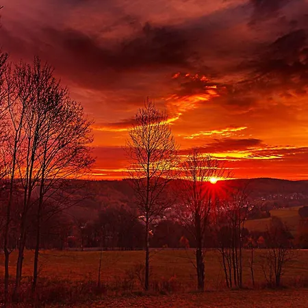 Апартаменты Schickolores *