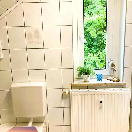 Апартаменты Schickolores Айбеншток